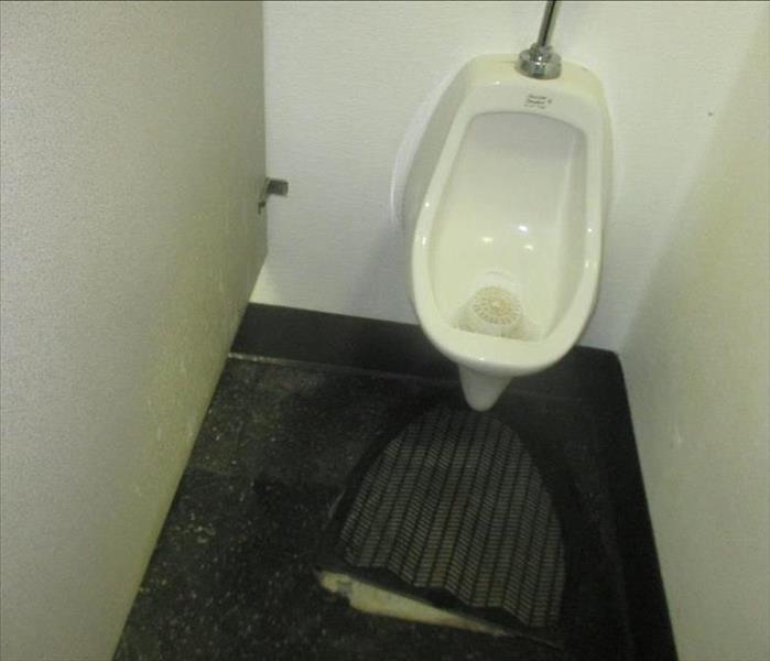 Toilet overflow.